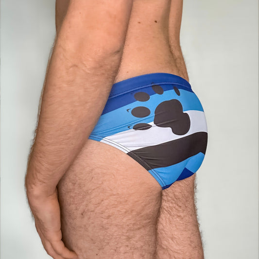 Otter Pride Flag Swim Briefs