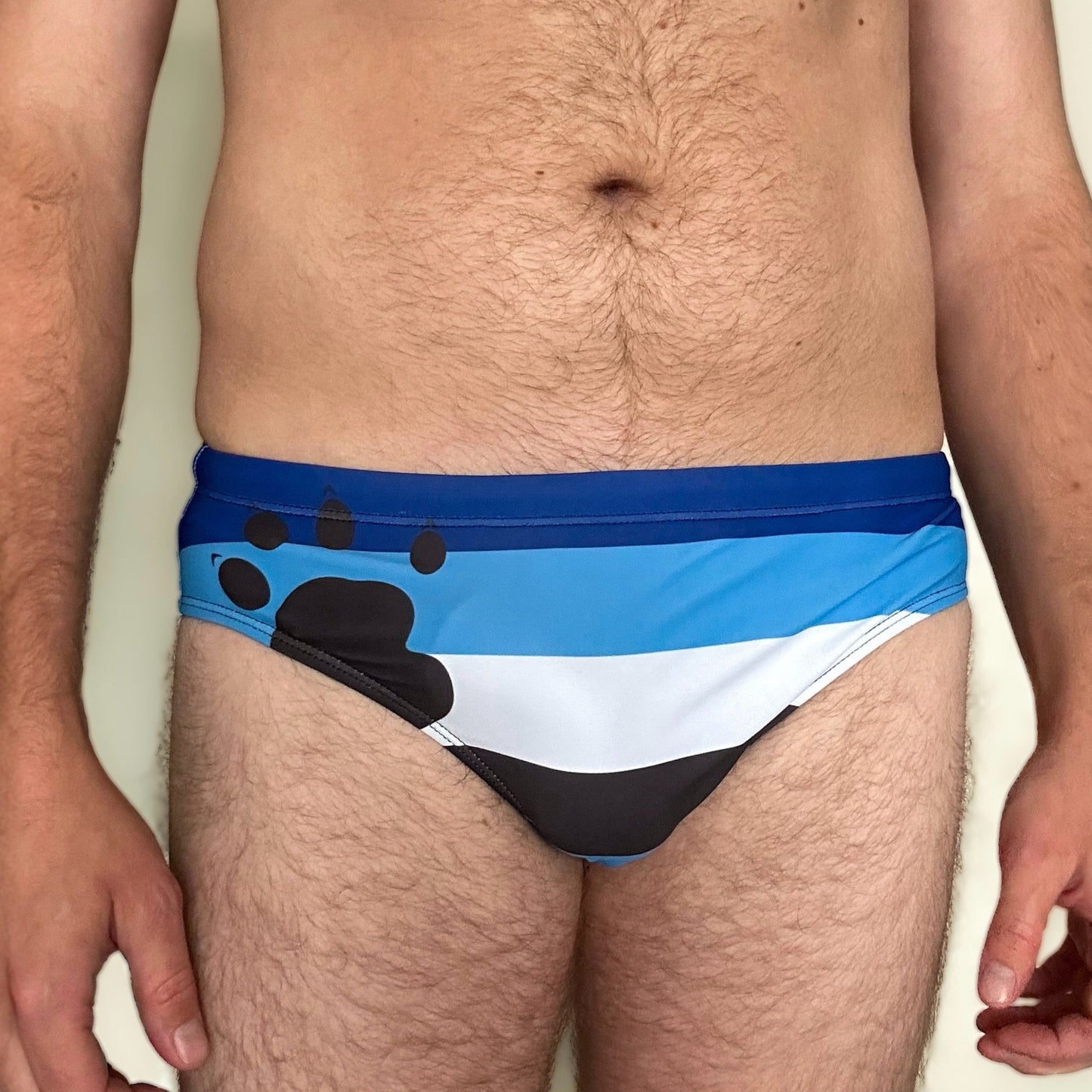 Otter Pride Flag Swim Briefs