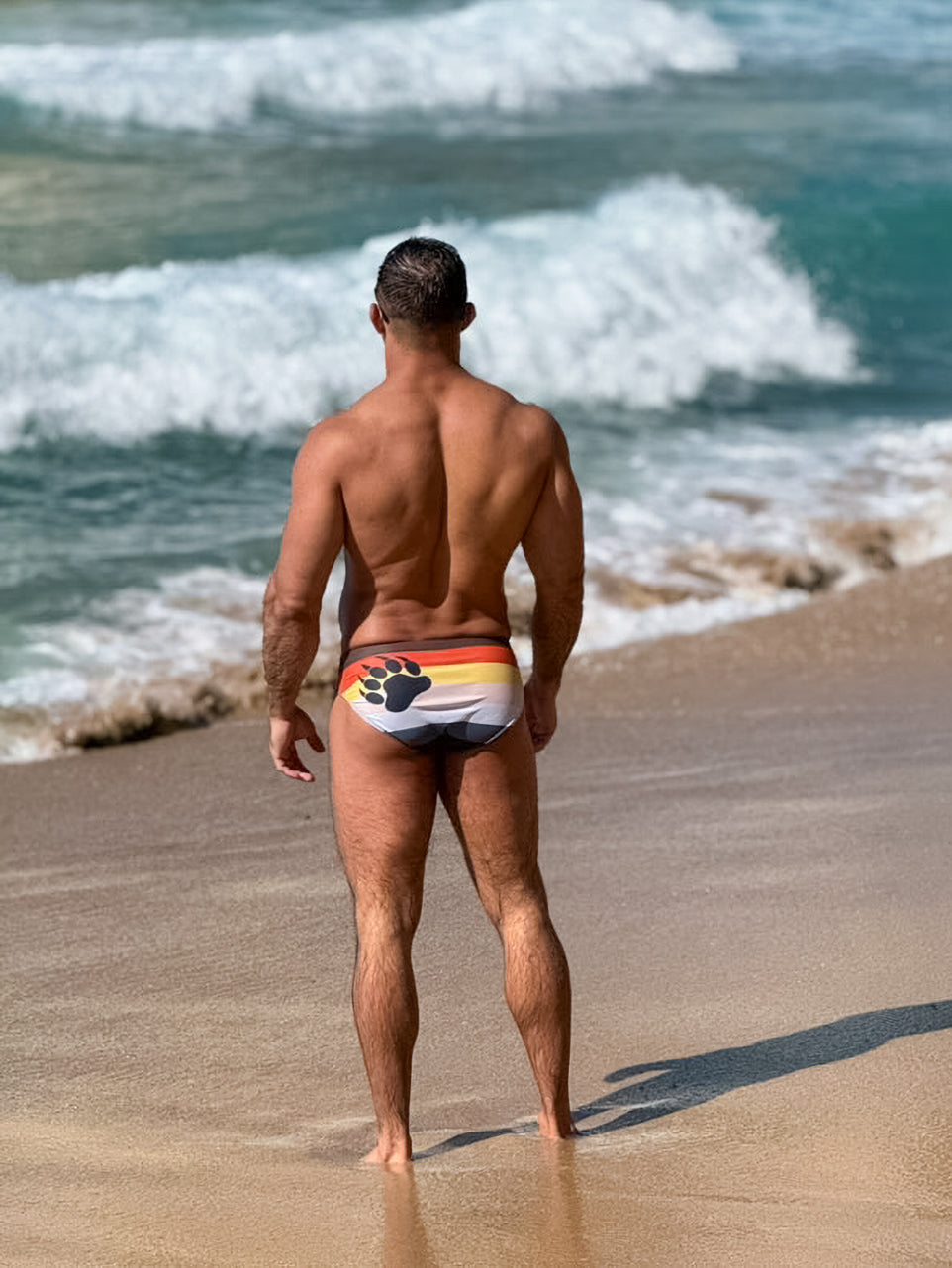 Gay Bear Pride Flag Mens Speedo style brief swim Trunks, Rainbow Daddy Cub Swimsuit, Swimwear, Swimming Shorts by Alex Mac Design