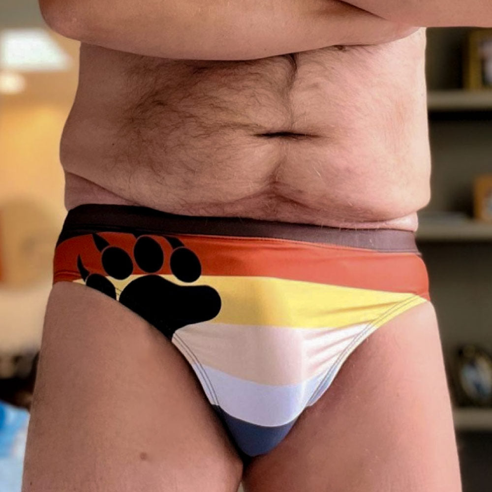 Gay Bear Pride Flag Mens Speedo style brief swim Trunks, Rainbow Daddy Cub Swimsuit, Swimwear, Swimming Shorts by Alex Mac Design