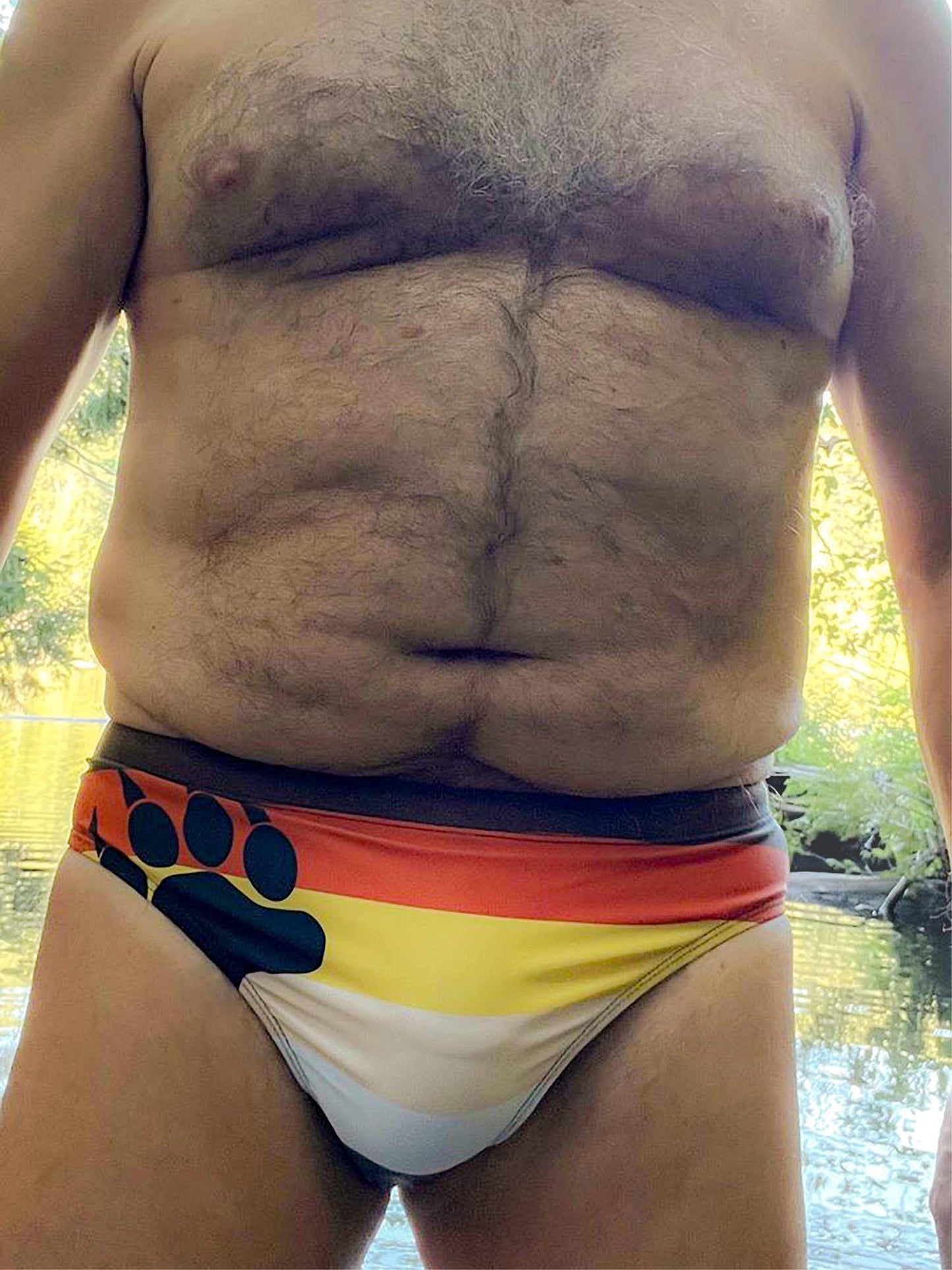 Bear Pride Flag Swim Briefs