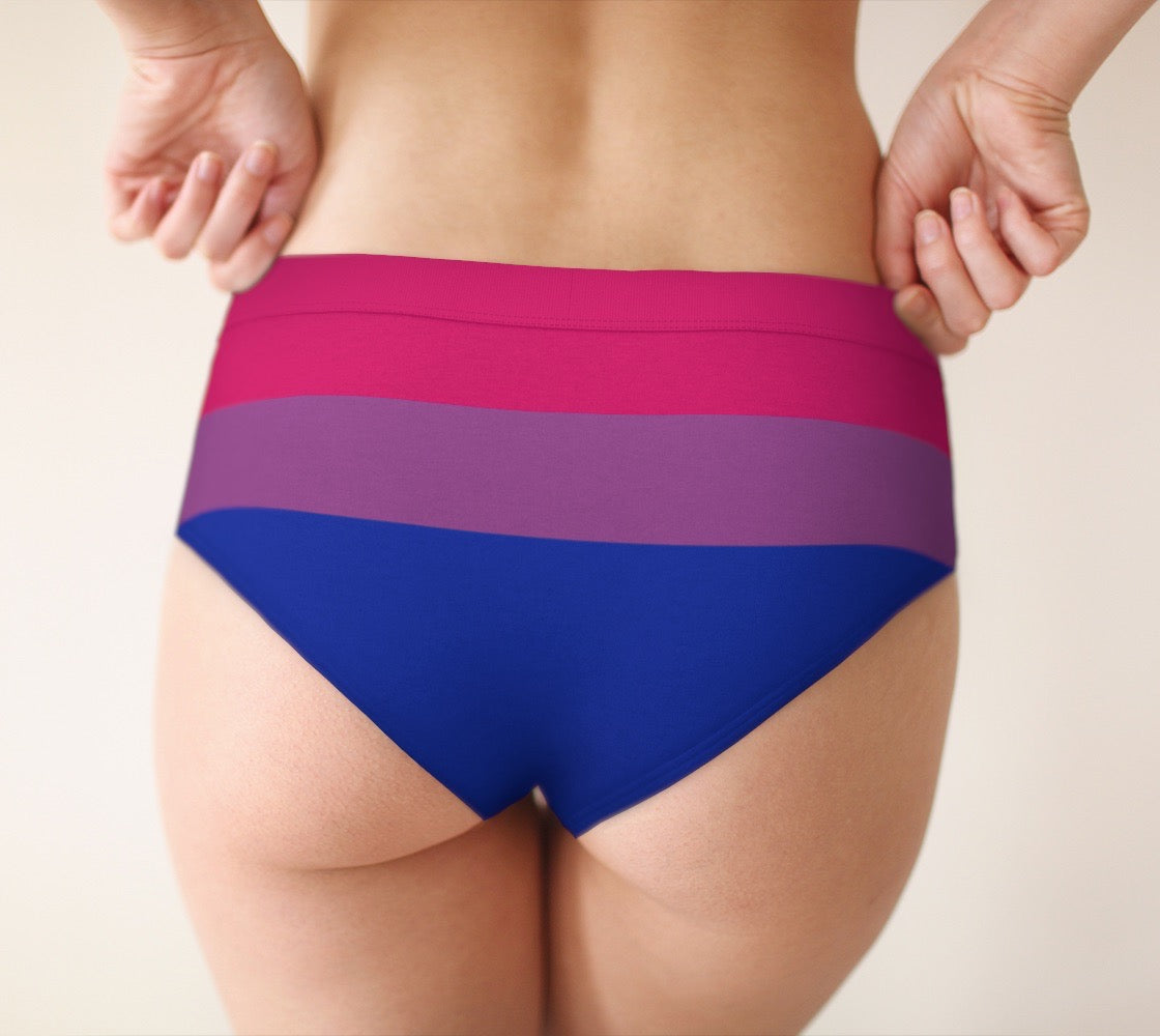 Bi Pride Flag Women's Cheeky Briefs