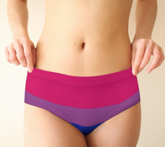 Bi Pride Flag Women's Cheeky Briefs
