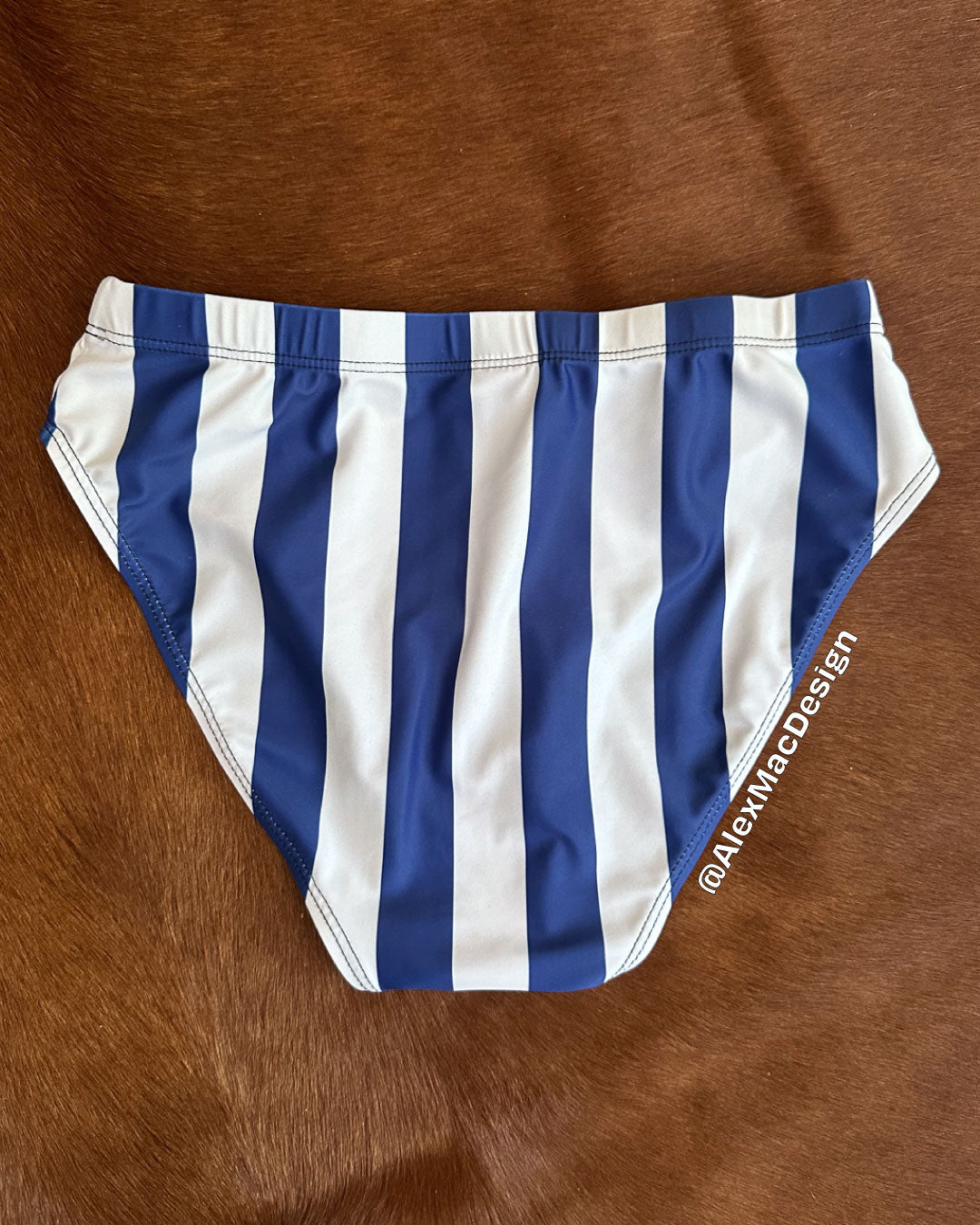 Nautical Stripe Swim Briefs