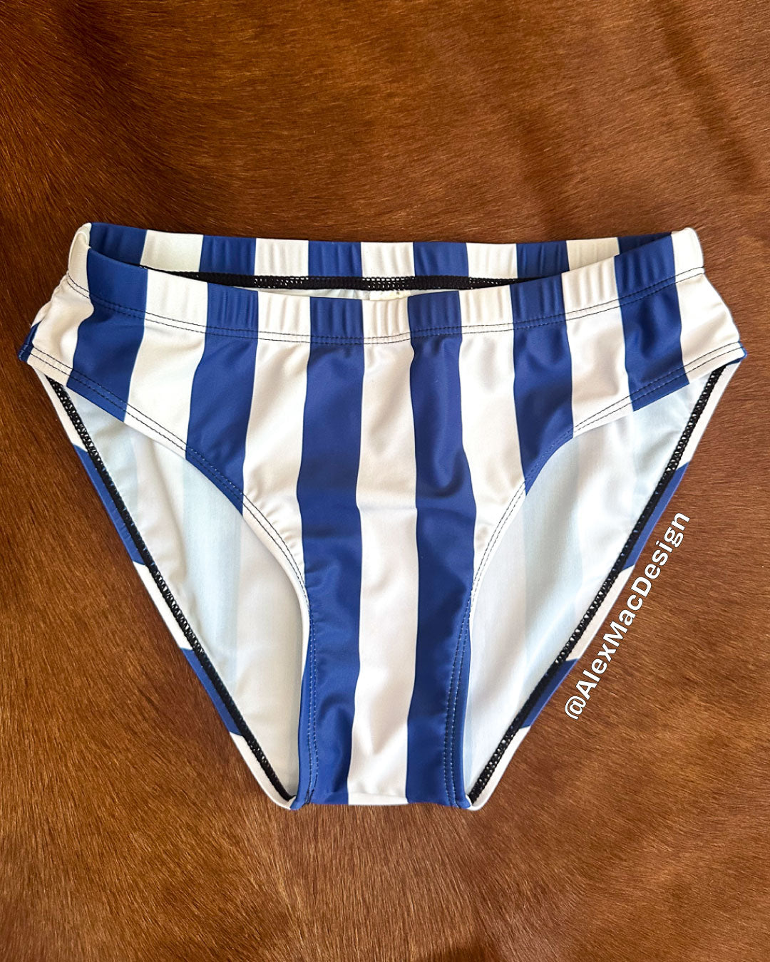 Nautical Stripe Swim Briefs