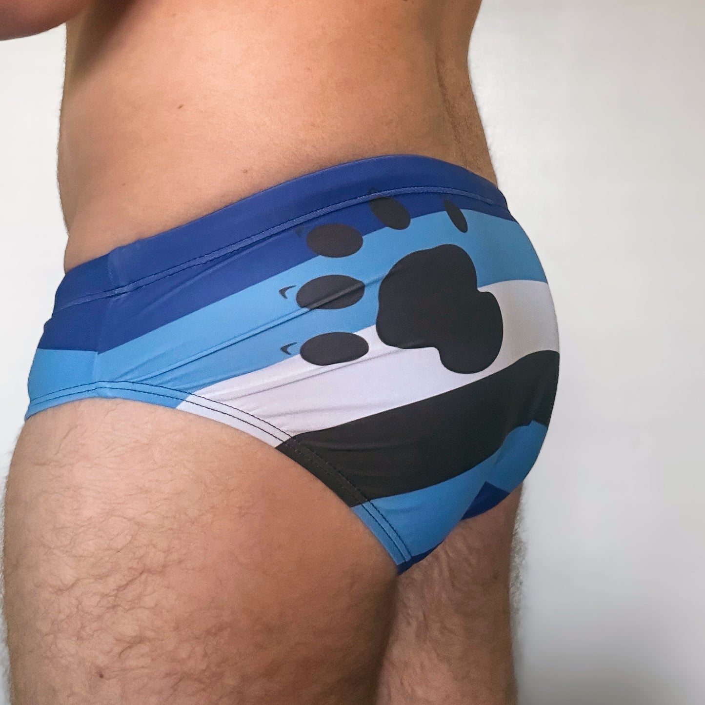 Otter Pride Flag Swim Briefs