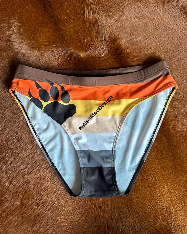 Bear Pride Flag Swim Briefs