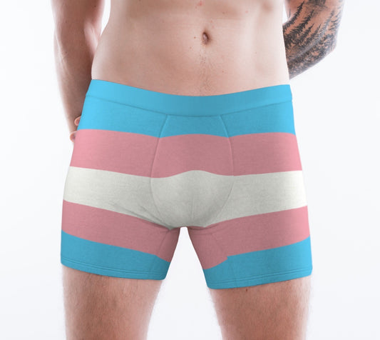 Trans Pride Flag Men's Boxer Briefs - Alex Mac Design