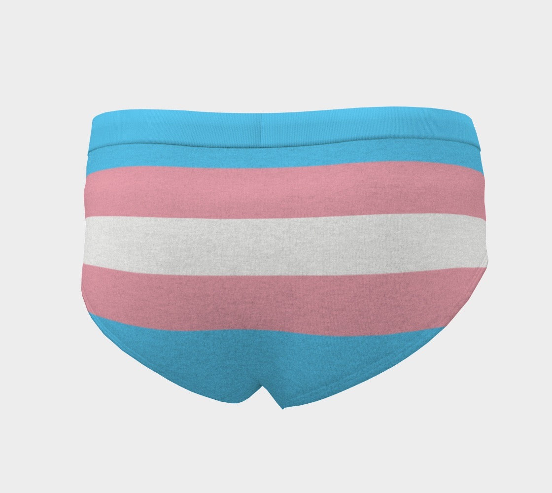 Trans Pride Flag Women's Cheeky Briefs