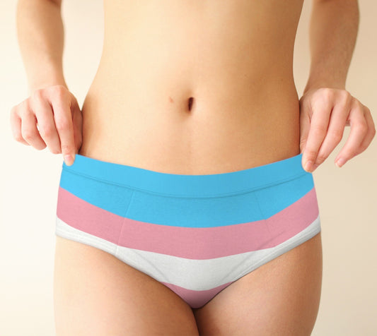 Trans Pride Flag Women's Cheeky Briefs