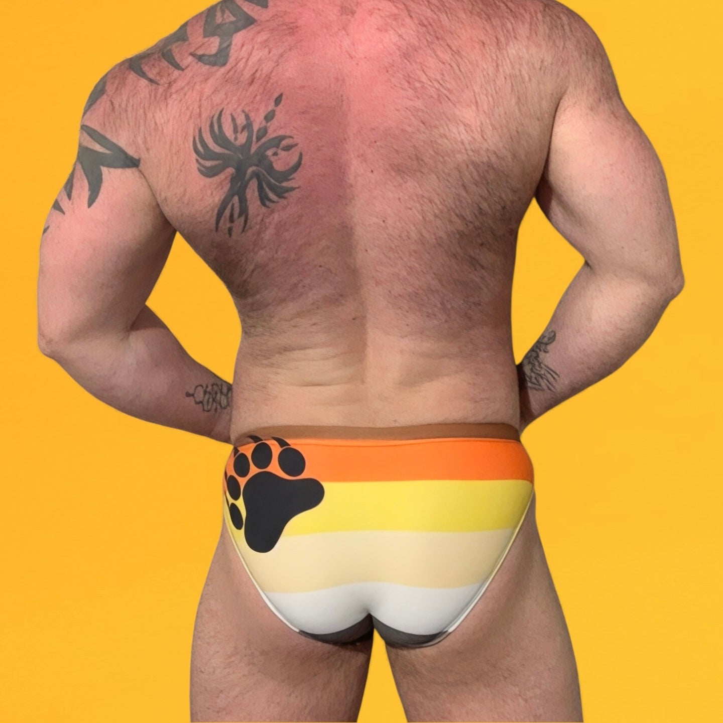 Gay muscular man with tattoos wearing bear pride flag brief underwear by Alex Mac.