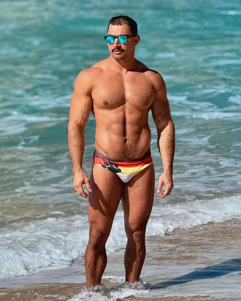 Bear Pride Flag Swim Briefs