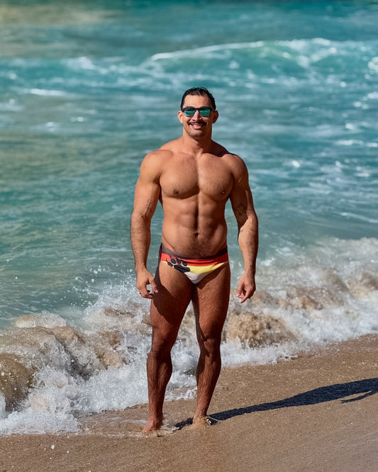 Gay Bear Pride Flag Mens Speedo style brief swim Trunks, Rainbow Daddy Cub Swimsuit, Swimwear, Swimming Shorts by Alex Mac Design