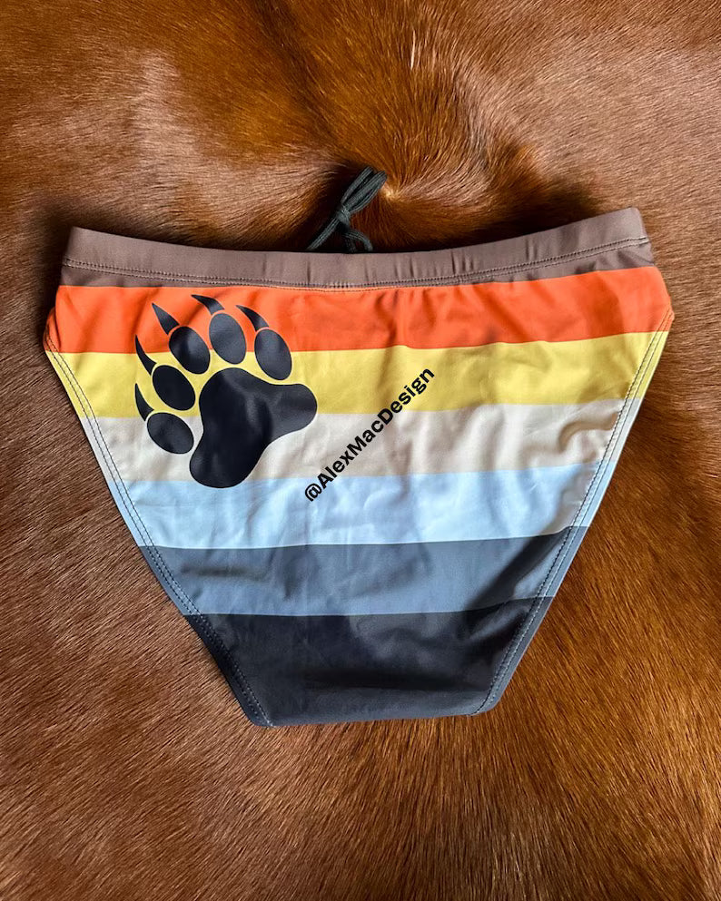 Bear Pride Flag Swim Briefs