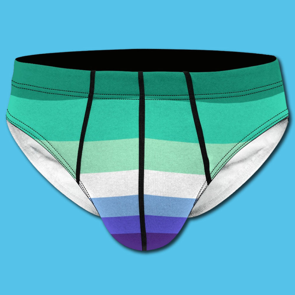 MLM Pride Flag Men's Briefs
