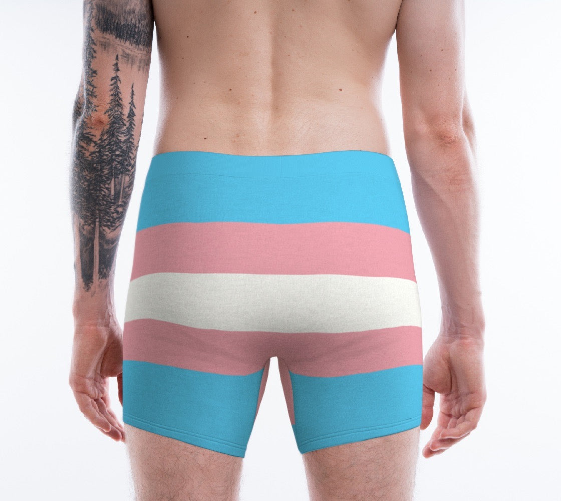 Trans Pride Flag Men's Boxer Briefs - Alex Mac Design
